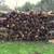 BEST FIRE WOOD SEASONED SPLIT FIREWOOD 2 thumbnail