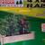 Raised GARDEN KIT North American Cedar Kit Grow Vegetables Portable 13 thumbnail
