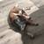 Rehoming Amazing Blue Heeler/GSP mix (Mission Valley) 2 thumbnail