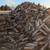 FIREWOOD quality, seasoned, ready-to-burn 3 thumbnail