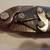 Vintage Aviator Tin Snips ~ Set of 3 ~ early 1950's 4 thumbnail