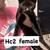 Cats looking for good homes 7 thumbnail