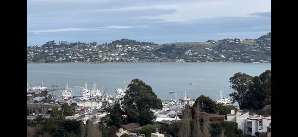 $5,450 / 3br - 1700ft2 - 3BR 2.5BA Sausalito Townhouse with great views - Remodeled throughout (sausalito)63938630028418120