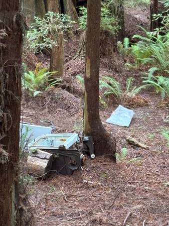 Garbage in the woods (Freshwater)63407254940289122