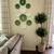 Pottery Barn Faux Olive Double Topiary Tree 1 thumbnail