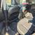 2012 nissan rogue fully loaded 7 thumbnail