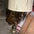 antique lamp 4 thumbnail