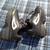 Men's Fila disruptor shoes size7 4 thumbnail