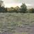 10 Acre Lot in New Mexico, near Movie Studios, Santa Fe 1 thumbnail
