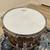 Ludwig 8x14 Classic Maple Exotic Snare Drum Plus Bag 4 thumbnail
