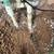 Irrigation system repair 2 thumbnail