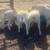 Grass feed dorpers 2 thumbnail