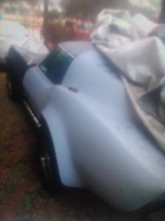 Coche proyecto sin terminar Corvette Maco Shark 1973 - $14,800 (Lewisville, Tx)63483741912449122