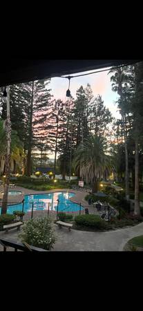 $1,245 / 2br - Ubicación perfecta en Walnut Creek (walnut creek)63824142347009120