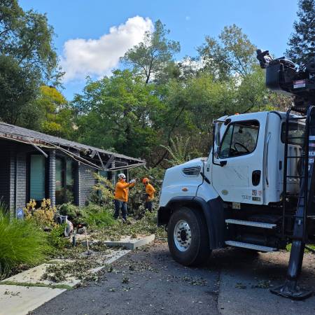 East Bay Tree Service 1