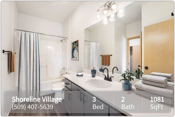 $1,800 / 3br - 1081ft2 - Best views in town! Enjoy life in your new 3 Bed, 2 Bath! 1081 Sq Ft (Richland - Near 240 Bypass)63878910646403123
