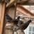 Californian valley quail pairs for rehoming 2 thumbnail