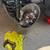 BRAKE JOBS AND OIL CHANGES 2 thumbnail