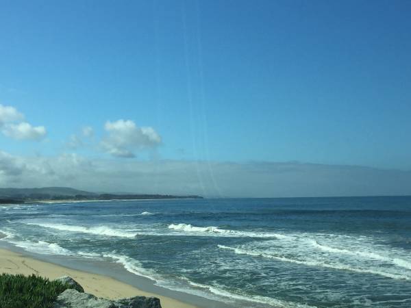 Private studio 2 blocks from the Coast Trail in HMB 1