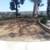 Dirt Removal Bobcat Service - Licensed and Insured 16 thumbnail