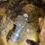 RESIDENCIAL SEWER Unclog $120 plumbing and drain cleaning 9173255214 16 thumbnail