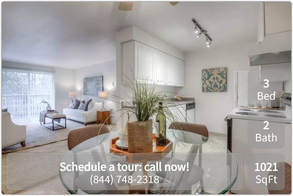 Comfortable 3 BR / 2 BA with private washer and dryer 1