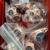 Complete Beard / shaving kit spring green scent 15 thumbnail
