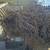Free Fire KINDLING Bonfire  Wood Construction Lumber 4 thumbnail
