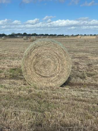 4x5 round bales for ala w 1