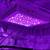 Blackdog LED Phytomax 2 600 LED 3 thumbnail