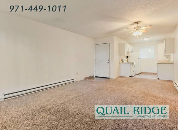 $1,250 / 1br - Lovely One Bed - Short Commute to PSU and OHSU | Open Green Spaces (Portland)63831608052867120