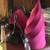 Pottery Barn Silk Wall Sconce (pair) 3 thumbnail