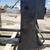 Telehandler Forks 2 thumbnail