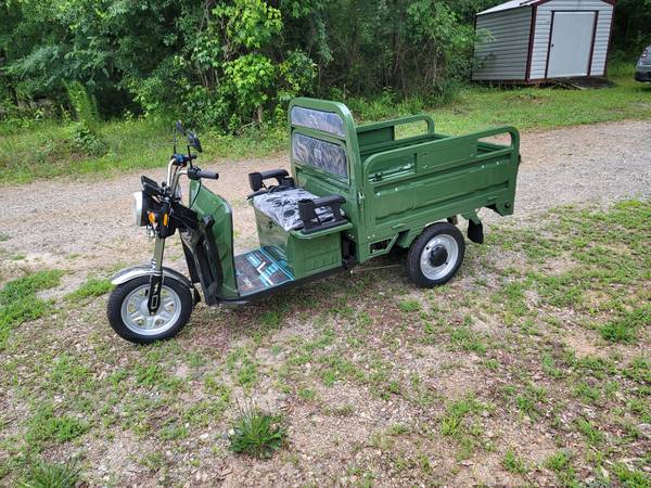2026 Mini E Trike 1