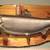 TAXIDERMY KING SALMON (CHINOOK)w/21 x 48 PROFESSIONAL TAXIDERMY PLAQUE 8 thumbnail
