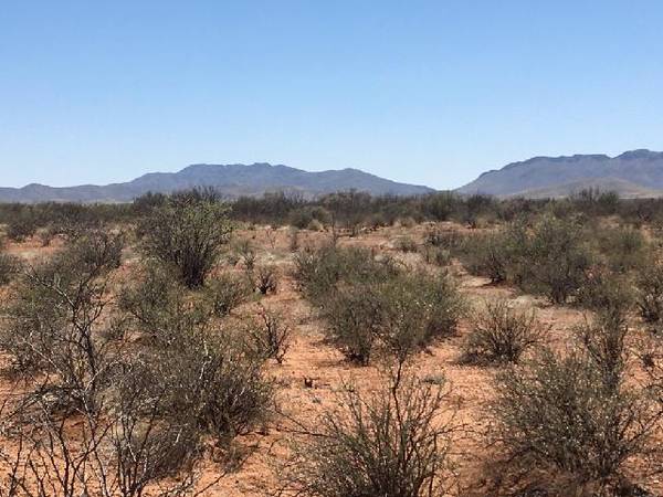 $7,000 / 200000ft2 - 4.6 Acres RU4 Zoning Roads In (Sunsites Subdivision)64178130982402120