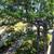 Absolutely Gorgeous Fresh Apt. Mariners Island- AMSI 24 thumbnail