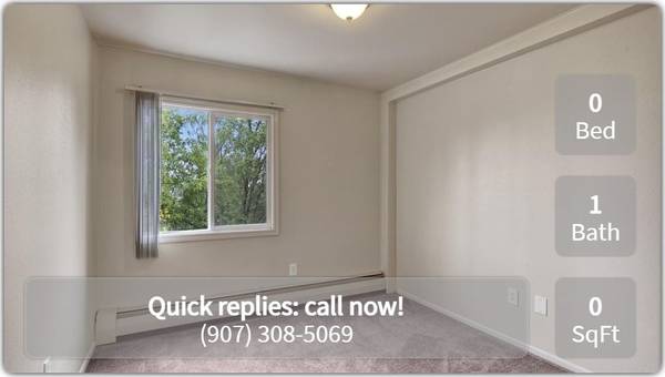 Simply beautiful Studio  in prime Anchorage neighborhood 1
