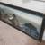 Lone Cypress Pebble Beach PANORAMIC 32.5" California Vtg Tinted Photo 2 thumbnail