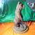 Only One Online! STANDING BEAR Bronze Plated Resin STATUE with Base!! 7 thumbnail