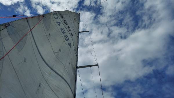 Main sail with batters for Catalina 42 1