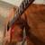 PRESTIGE ECLIPSE KOA/KOA ACOUSTIC/ELECTRIC GUITAR 3 thumbnail