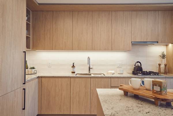 $2,750 / 1br - New 1 Bed 1 Bathroom in River North - Opened May 2021 (River North)64041642422017122