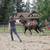 Dbl Reg. BLACK BEAUTY 2 yr old filly! 12 thumbnail