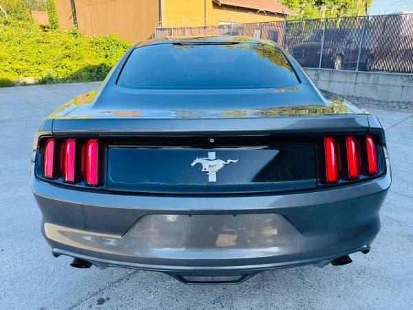 2015 Ford Mustang - ¡Financiamiento disponible! - $13900.0063617282039555123