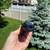 Andis Beard Trimmer NEW 3 thumbnail