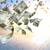 What If Helping Just 2 People Could Change Your Finances This Month? 2 thumbnail
