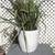 Beautiful Artificial Elephant Grass Plant 1 thumbnail