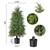 2 Pack - 4ft Artificial Cedar Topiary Trees/Shrubs 2 thumbnail
