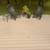 Trex Decking 1 thumbnail